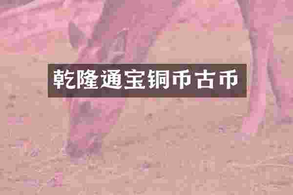 乾隆通宝铜币古币