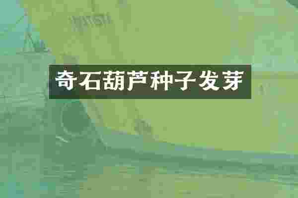 奇石葫芦种子发芽