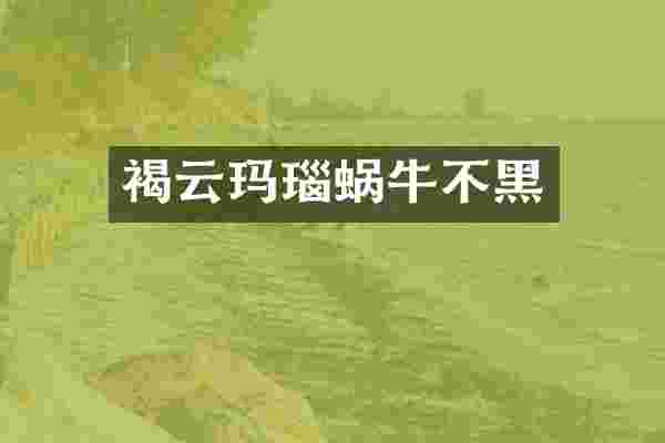 褐云玛瑙蜗牛不黑