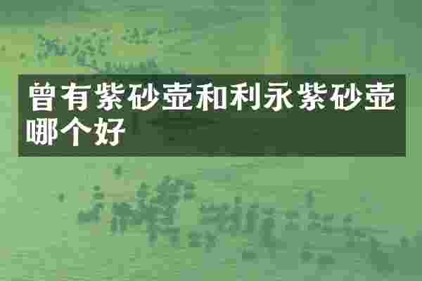 曾有紫砂壶和利永紫砂壶哪个好