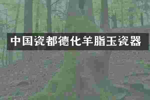 中国瓷都德化羊脂玉瓷器