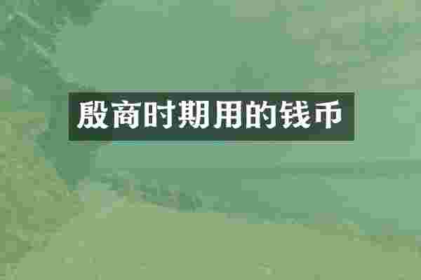 殷商时期用的钱币