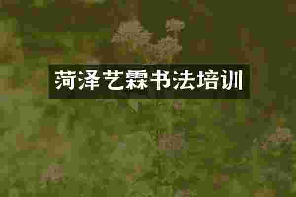 菏泽艺霖书法培训