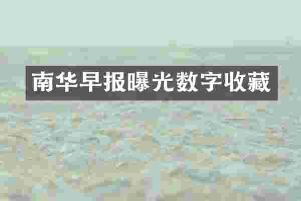 南华早报曝光数字收藏