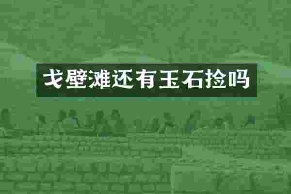 戈壁滩还有玉石捡吗