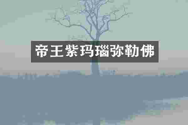 帝王紫玛瑙弥勒佛