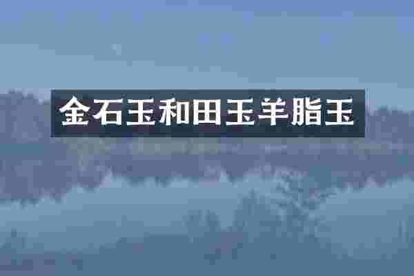 金石玉和田玉羊脂玉