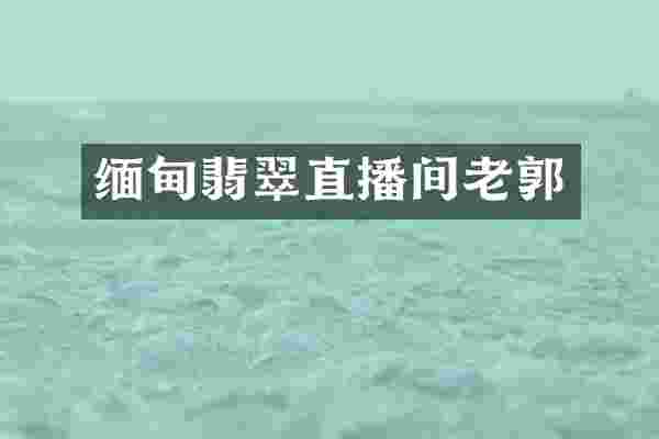 缅甸翡翠直播间老郭