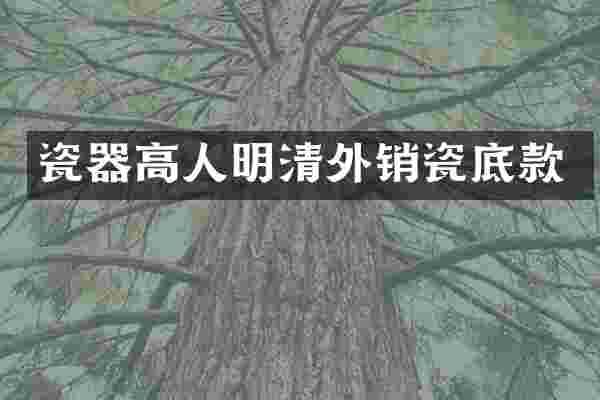 瓷器高人明清外销瓷底款