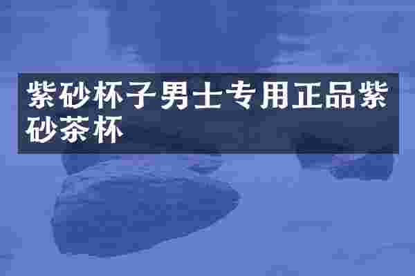紫砂杯子男士专用正品紫砂茶杯