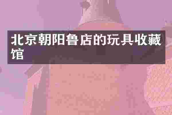 北京朝阳鲁店的玩具收藏馆