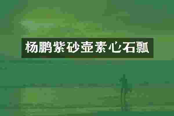 杨鹏紫砂壶素心石瓢