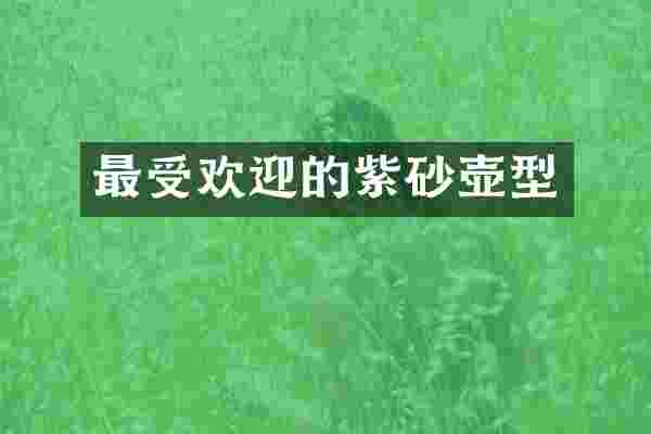 最受欢迎的紫砂壶型