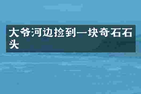 大爷河边捡到一块奇石石头