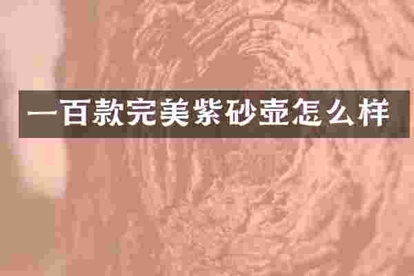 一百款完美紫砂壶怎么样