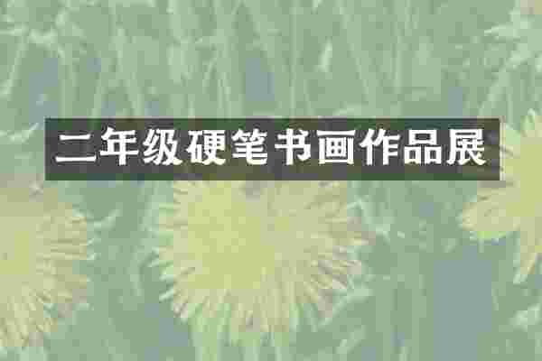 二年级硬笔书画作品展