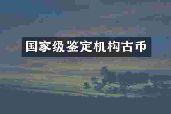 国家级鉴定机构古币