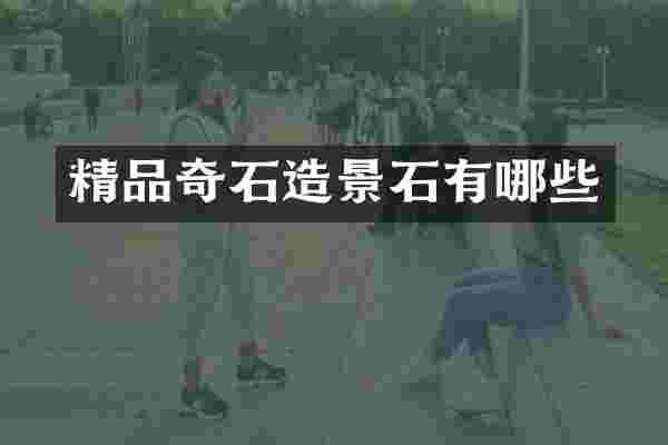 精品奇石造景石有哪些