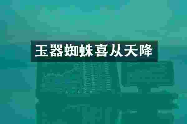 玉器蜘蛛喜从天降