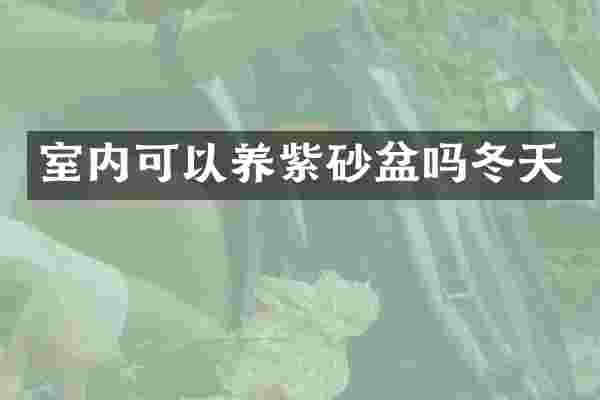 室内可以养紫砂盆吗冬天