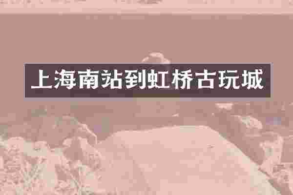 上海南站到虹桥古玩城