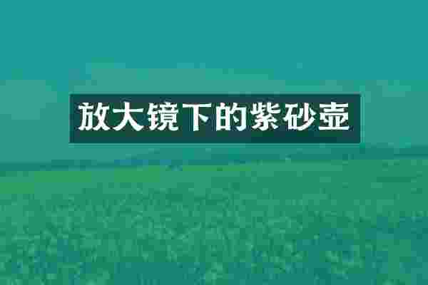 放大镜下的紫砂壶