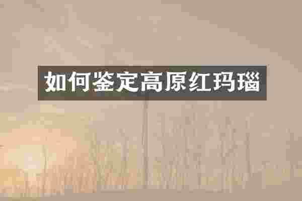 如何鉴定高原红玛瑙