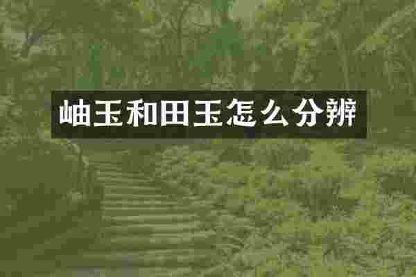 岫玉和田玉怎么分辨