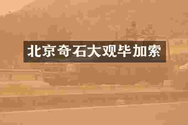 北京奇石大观毕加索