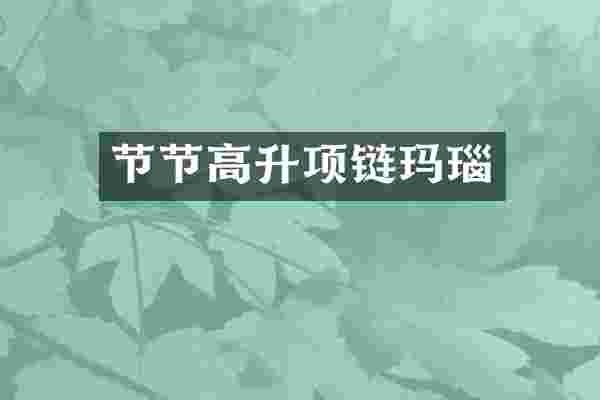 节节高升项链玛瑙