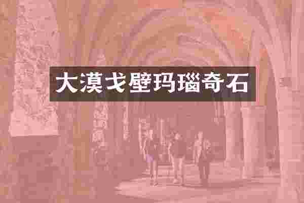 大漠戈壁玛瑙奇石