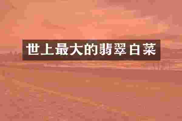 世上最大的翡翠白菜