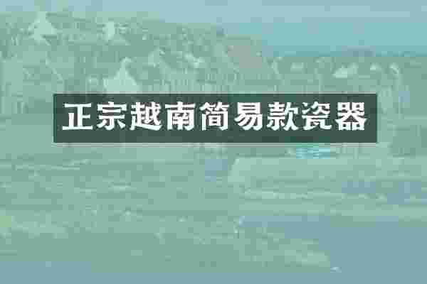 正宗越南简易款瓷器