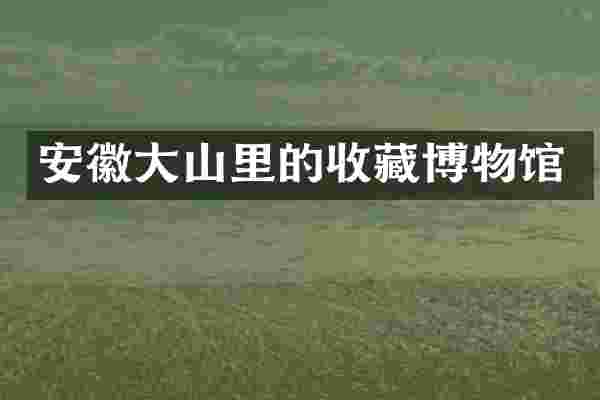安徽大山里的收藏博物馆