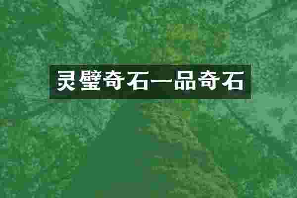 灵璧奇石一品奇石