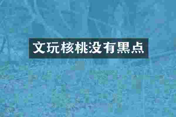 文玩核桃没有黑点