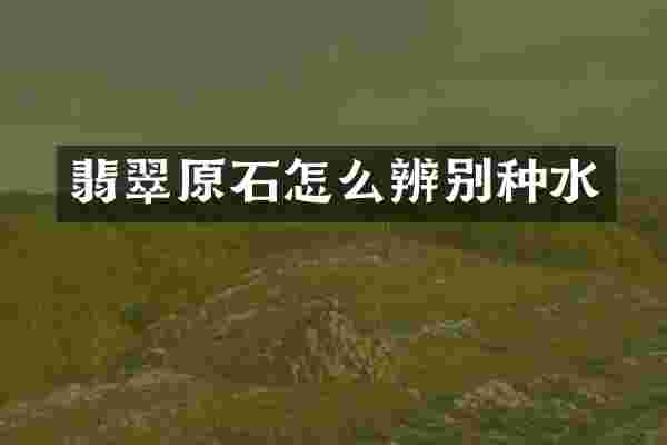 翡翠原石怎么辨别种水