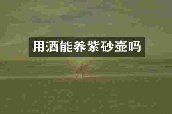 用酒能养紫砂壶吗