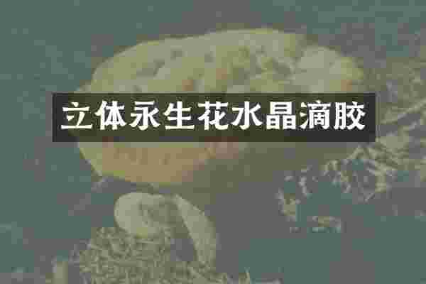 立体永生花水晶滴胶