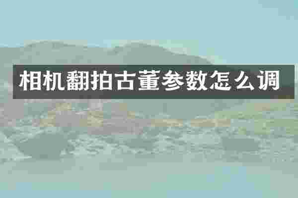 相机翻拍古董参数怎么调