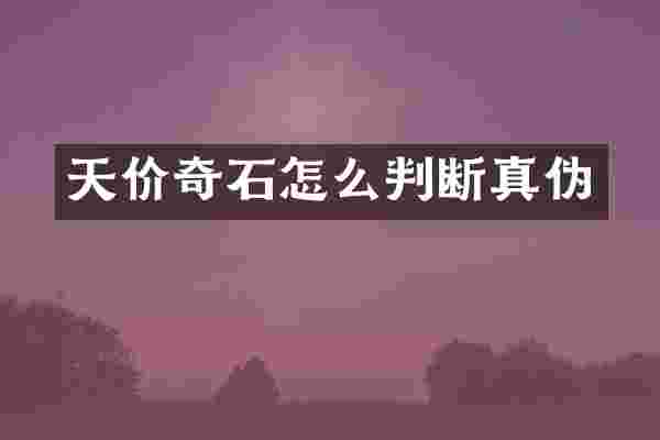 天价奇石怎么判断真伪