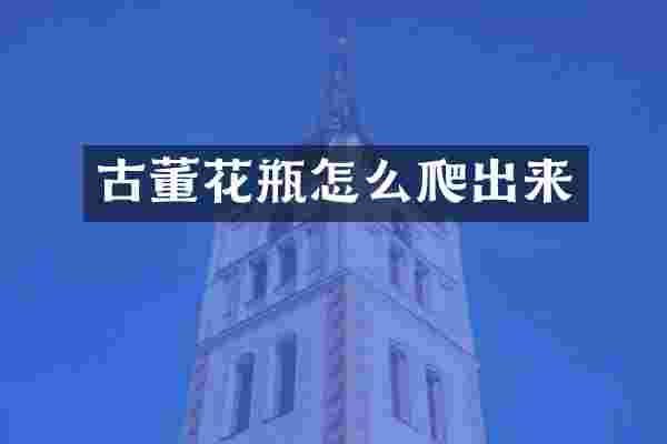 古董花瓶怎么爬出来