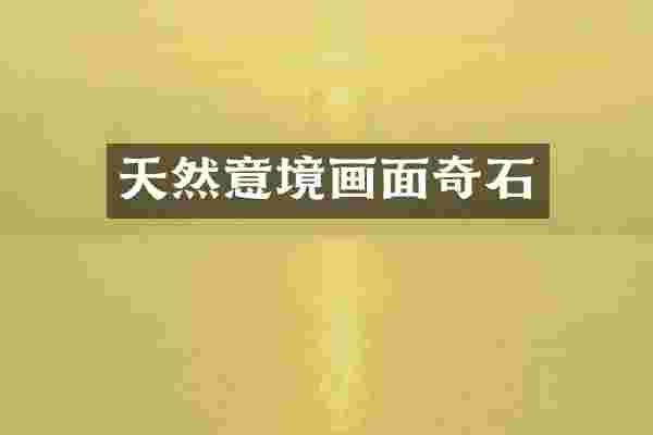 天然意境画面奇石