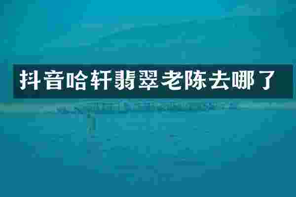 抖音哈轩翡翠老陈去哪了