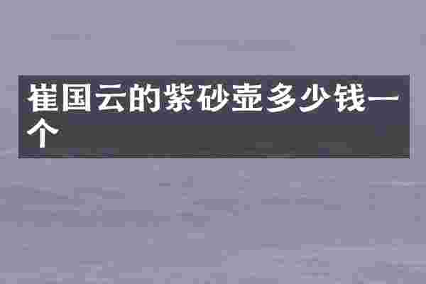 崔国云的紫砂壶多少钱一个