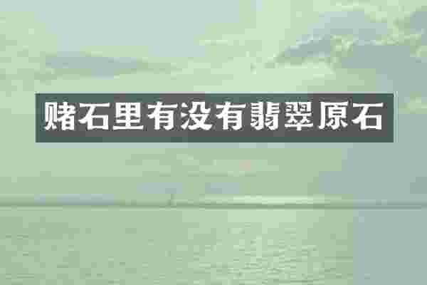 赌石里有没有翡翠原石
