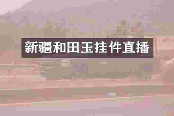 新疆和田玉挂件直播