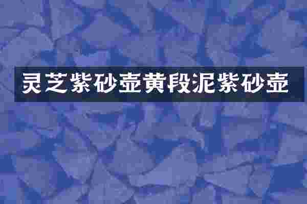 灵芝紫砂壶黄段泥紫砂壶
