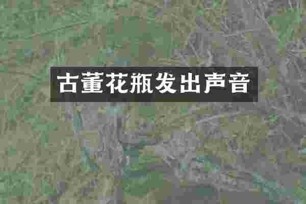 古董花瓶发出声音