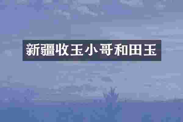 新疆收玉小哥和田玉